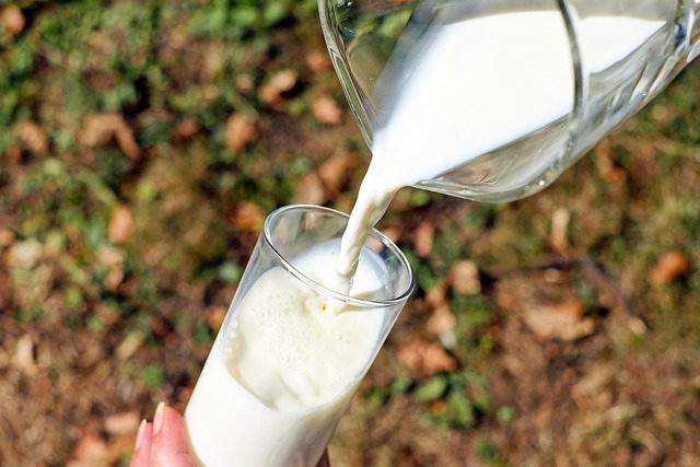 乳製品を摂り過ぎると骨折のリスクが上がる可能性。エビデンスを示します